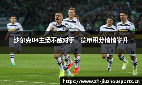 沙尔克04主场不敌对手,德甲积分悄悄攀升